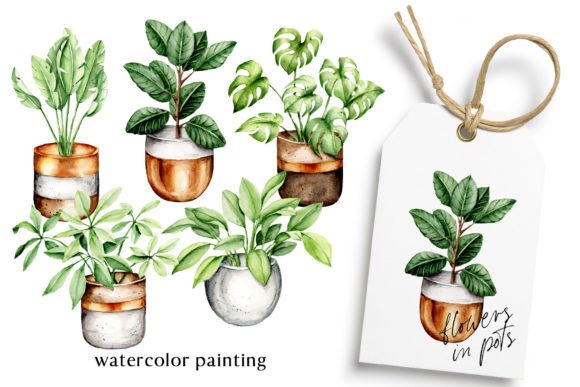 Flowers in Pots, Watercolor Painting