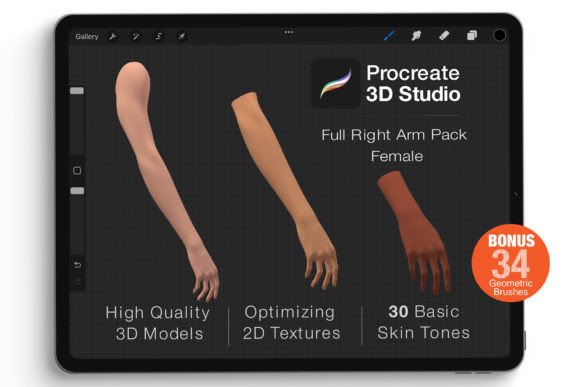 Procreate 3D Model - Right Arm Female: A Game-Changer for Digital Artists