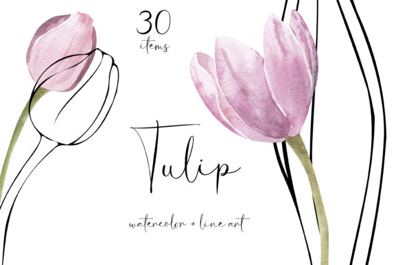 Tulip Watercolor Flowers Clipart Png: A Versatile Resource for Creative Projects